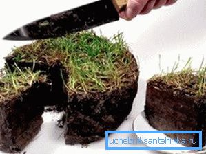 La schiavitù consentirà un uso limitato della terra della trama vicina. La schiavitù consentirà un uso limitato della terra della trama vicina.