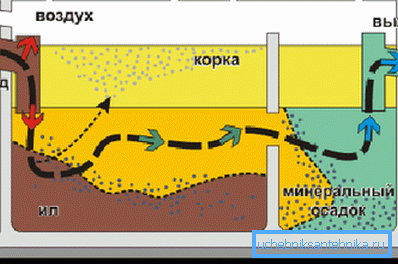 Diagramma di flusso per il sistema settico anaerobico Diagramma di flusso per il sistema settico anaerobico