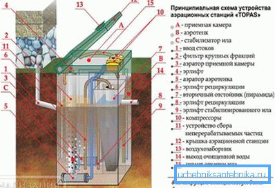 1182 Layout del dispositivo
