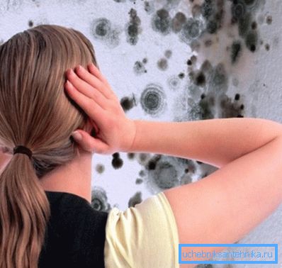Conseguenza dell'insufficienza della ventilazione - muffe e funghi. Conseguenza dell'insufficienza della ventilazione - muffe e funghi.