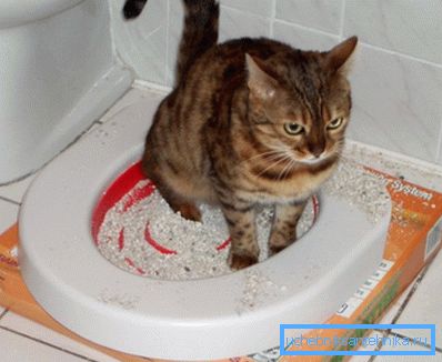 Il contenuto del vassoio deve fare da qualche parte, e non sempre il bagno sarà la scelta migliore. Il contenuto del vassoio deve fare da qualche parte, e non sempre il bagno sarà la scelta migliore.
