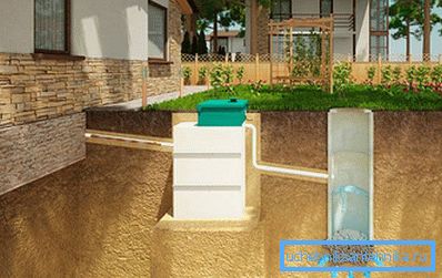 1164 Stazione di trattamento biologico