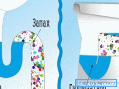 Ecco come l'acqua sigilla il lavandino e il water Ecco come l'acqua sigilla il lavandino e il water