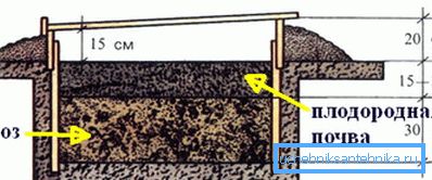 Questo strato si scalda come una pelliccia Questo strato si scalda come una pelliccia