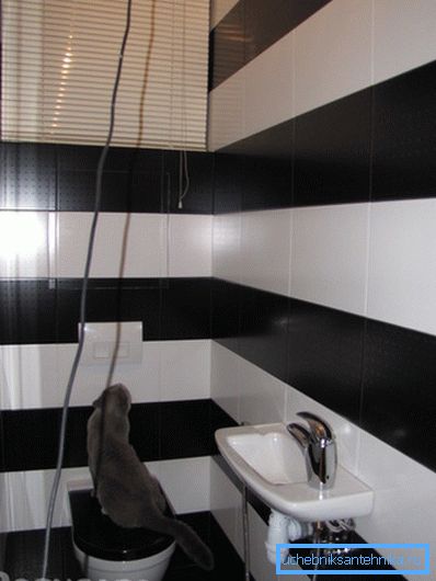 Questa toilette sembra più grande di quanto sia in realtà.