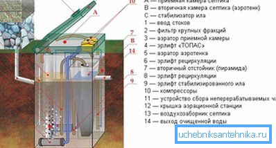 1136 Layout del dispositivo