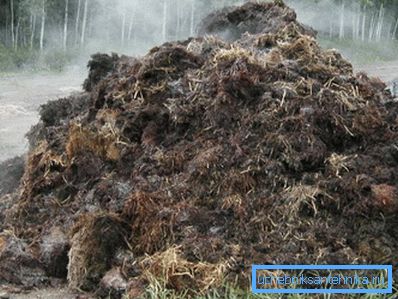 I fertilizzanti rilasciano calore I fertilizzanti rilasciano calore