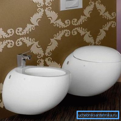Il water e il bidet sembrano uova Il water e il bidet sembrano uova