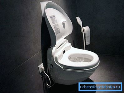 Toilet Bowl dalla terra del Sol Levante Toilet Bowl dalla terra del Sol Levante
