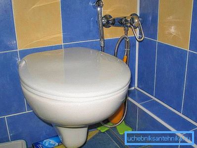 3953 WC con bidet