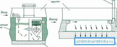 1131 dispositivo