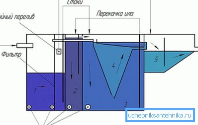 Dispositivo separato Bioxy
