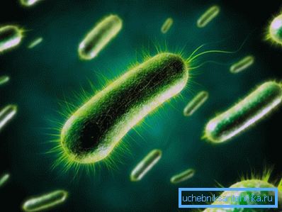 Aumento dei microargonismi anaerobici Aumento dei microargonismi anaerobici