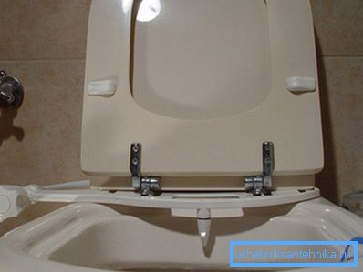 Un bidet sul water viene offerto in vendita. Un bidet sul water viene offerto in vendita.