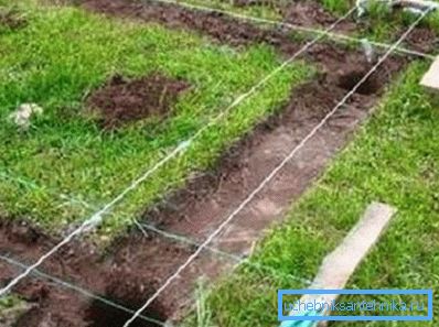 Negli angoli del futuro le strutture stanno scavando buche. Negli angoli del futuro le strutture stanno scavando buche.