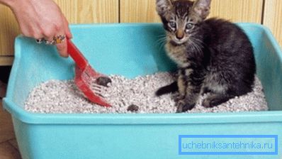 È importante contrassegnare il luogo con un odore che il bambino riconoscerà e capirà correttamente. È importante contrassegnare il luogo con un odore che il bambino riconoscerà e capirà correttamente.