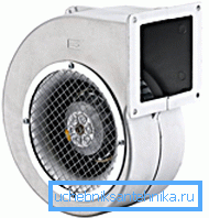 Fan Fan