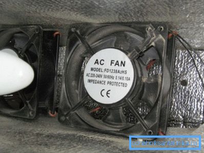 Fan dell'Incubatore Fan dell'Incubatore
