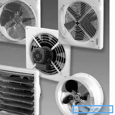 Fans. Fans.