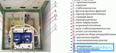La struttura interna della fossa settica La struttura interna della fossa settica