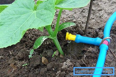 Approvvigionamento idrico per irrigazione a goccia Approvvigionamento idrico per irrigazione a goccia