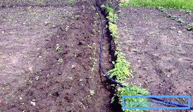 Impianto idraulico di tubi in plastica per il giardinaggio, che non viene smantellato per l'inverno