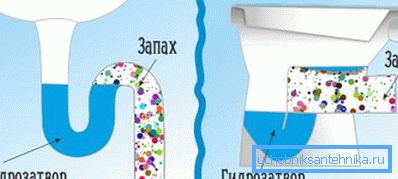 Tutti gli apparecchi sanitari devono avere un sigillo d'acqua. Tutti gli apparecchi sanitari devono avere un sigillo d'acqua.