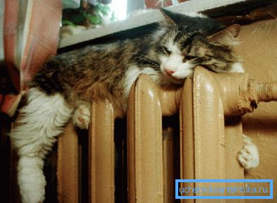 Tutti apprezzano il calore sicuro Tutti apprezzano il calore sicuro
