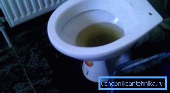WC intasato WC intasato