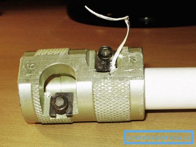 Stagnola che spella con un risparmiatore Stagnola che spella con un risparmiatore