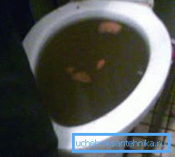 La toilette intasata deve essere pulita il prima possibile. La toilette intasata deve essere pulita il prima possibile.