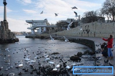 L'inverno a Sebastopoli non si distingue per gravità. L'inverno a Sebastopoli non si distingue per gravità.
